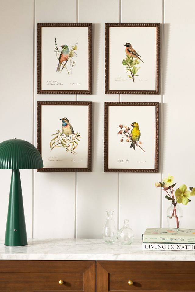 Blue Throat Bird Wall Art #1