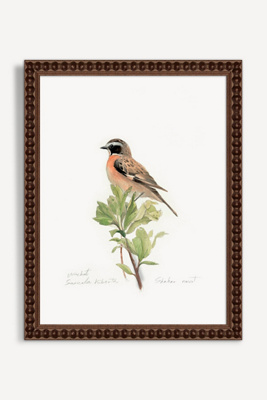 Artfully Walls Blue Throat Bird Wall Art