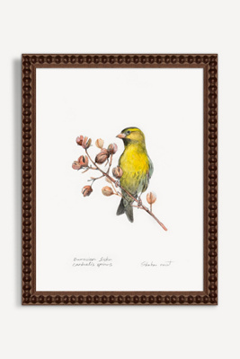 Artfully Walls Blue Throat Bird Wall Art