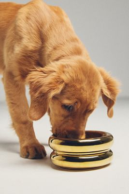 Catenary Home Pet Halo Bowl
