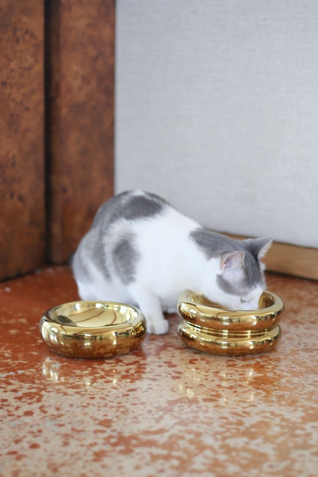 Catenary Home Pet Halo Bowl #2
