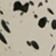 Black Dot