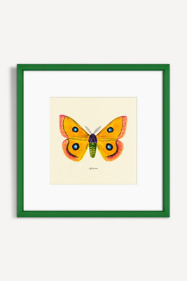 Artfully Walls Moth Study Wall Art