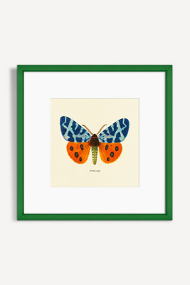 Artfully Walls Moth Study Wall Art