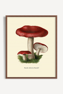 Artfully Walls Mushroom Study Wall Art