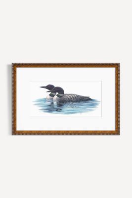 Pair of Common Loons Wall Art