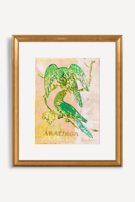 Artfully Walls Aratinga (sun Parakeets) Wall Art