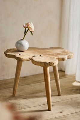 Teak Root Slice Side Table