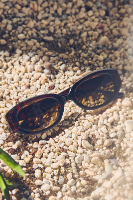 I-sea Oval Sunglasses In Brown