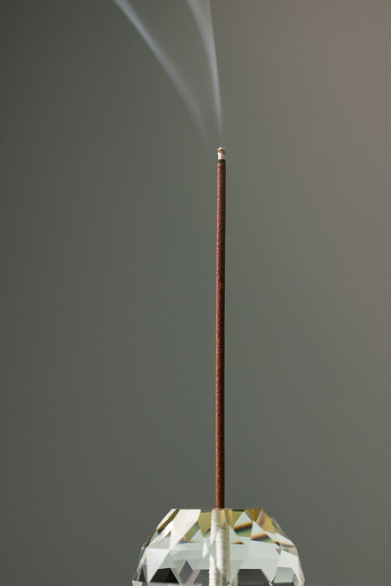 Gentle Habits This is Incense Immersion Sticks