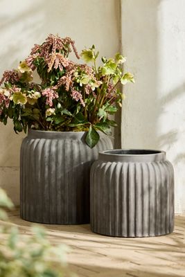 Fiber Dolly Jar Planter