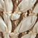 Neutral Pattern