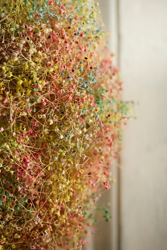 Dried Pastel Rainbow Gypsophila Wreath #1