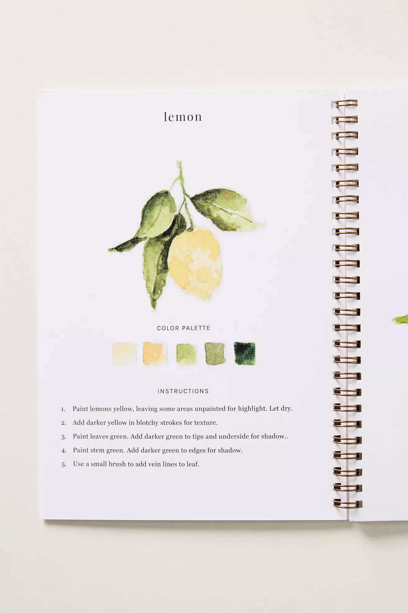 Emily Lex Studio Watercolor Workbook - thumbnail 8