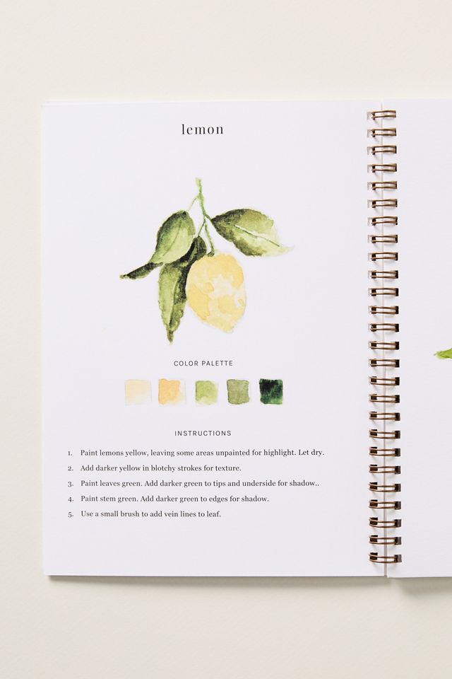 Emily Lex Studio Watercolor Workbook #1