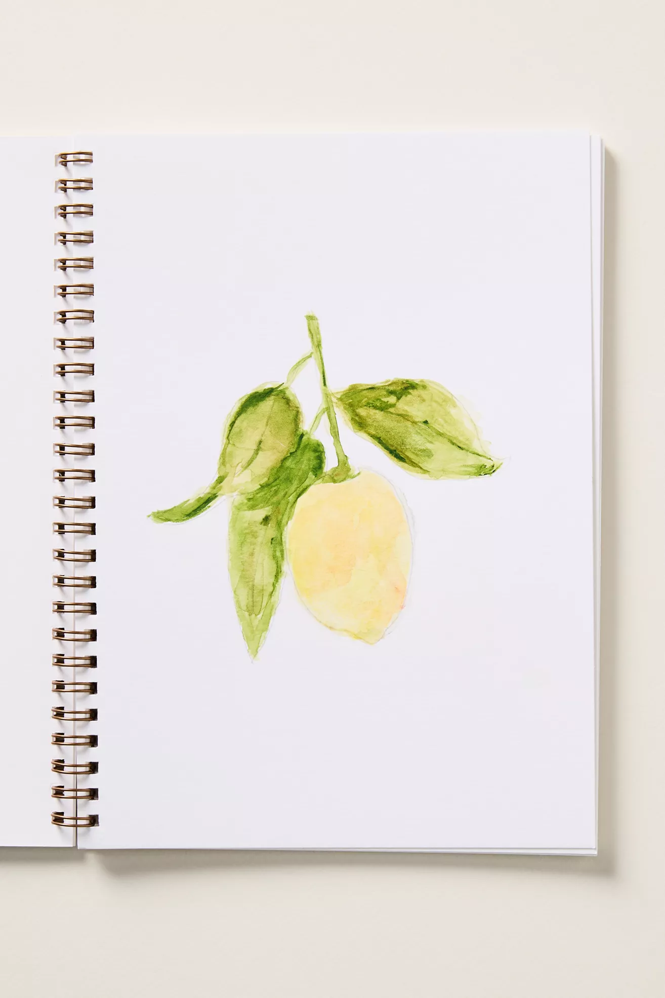 Emily Lex Studio Watercolor Workbook - thumbnail 9