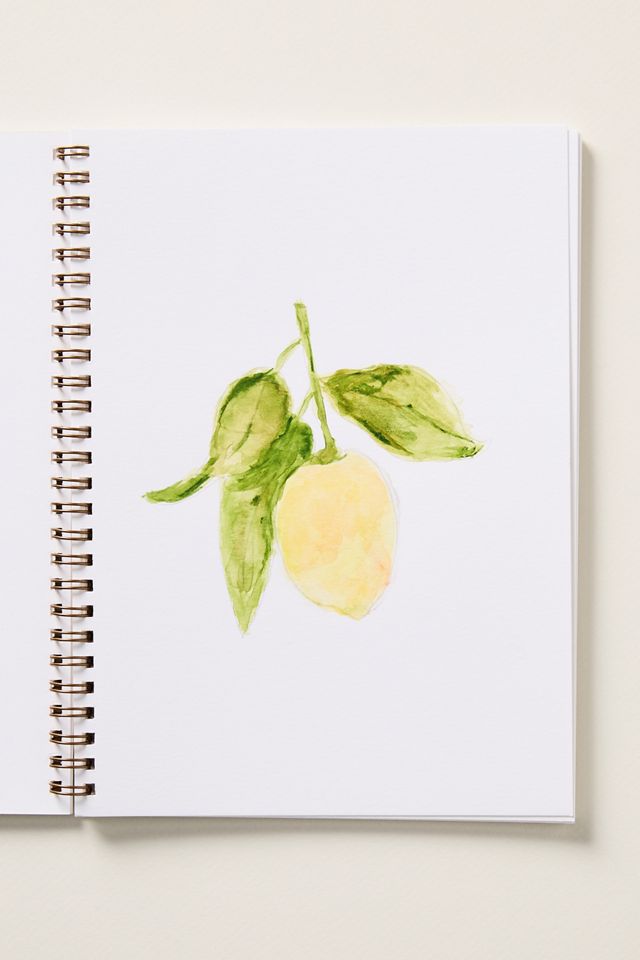 Emily Lex Studio Watercolor Workbook #2
