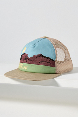 Coney Island Picnic Trucker Hat In Multi
