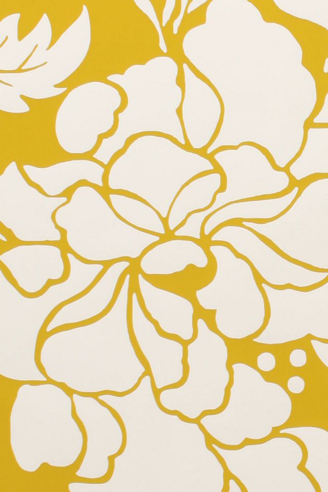 Paeonia Wallpaper #1