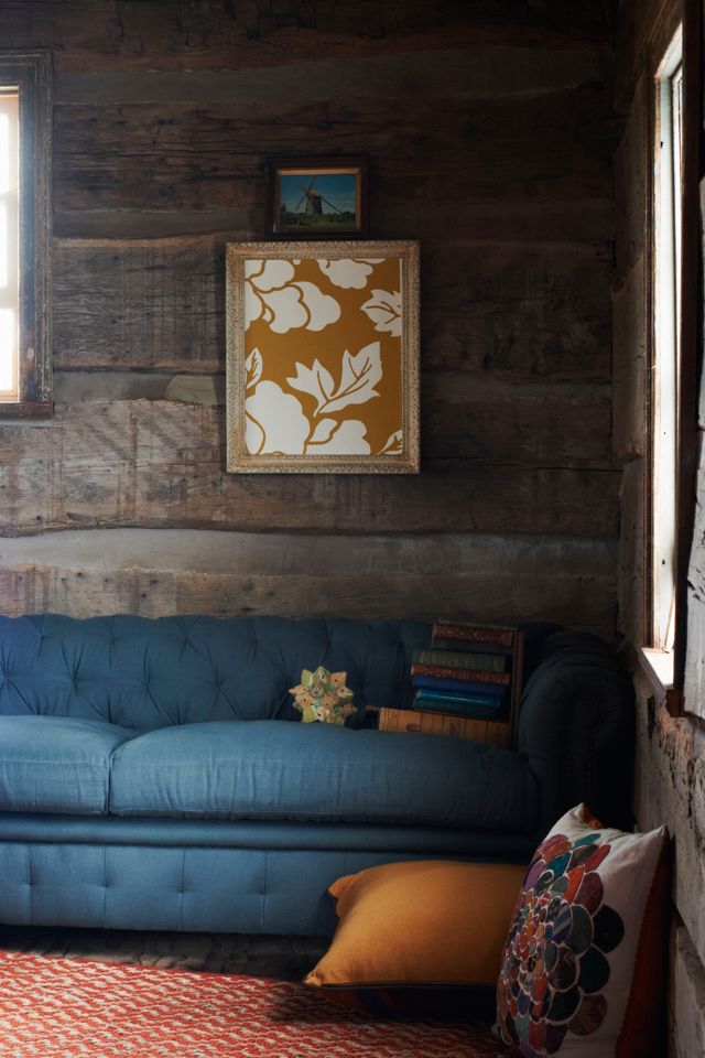 Paeonia Wallpaper #9