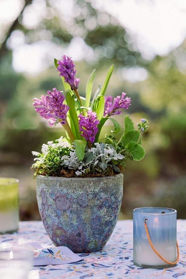 Ombre Lantern Citronella Candle #3