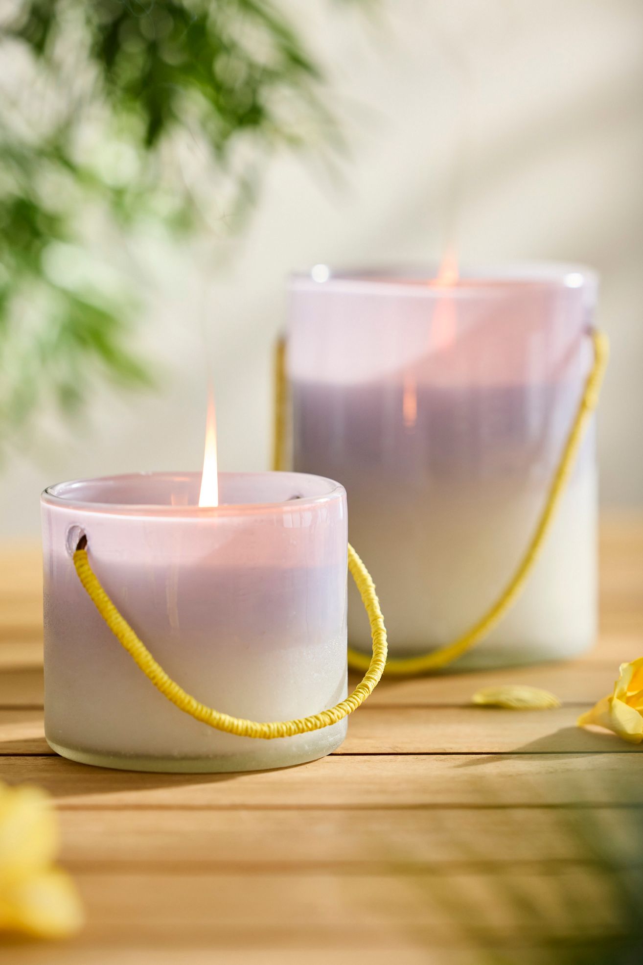 Ombre Lantern Citronella Candle - CITRONELLA NIGHT JASMINE, M