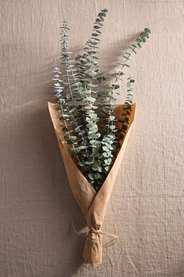Preserved Baby Blue Eucalyptus Bunch #2