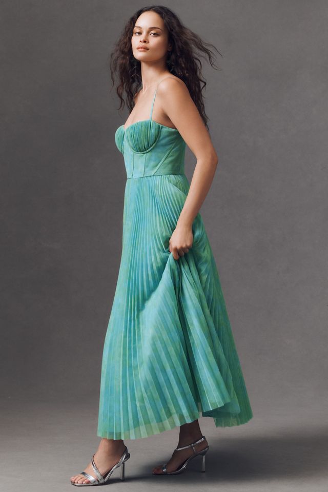Hutch Amara Corset Pleated Tulle Fit & Flare Midi Dress