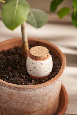 Terracotta Watering Ollas, Set of 3
