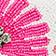 Celandine Pink