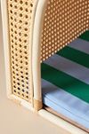 Rattan Dog House