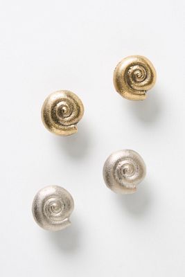 Conchita Seashell Knobs, Set of 2
