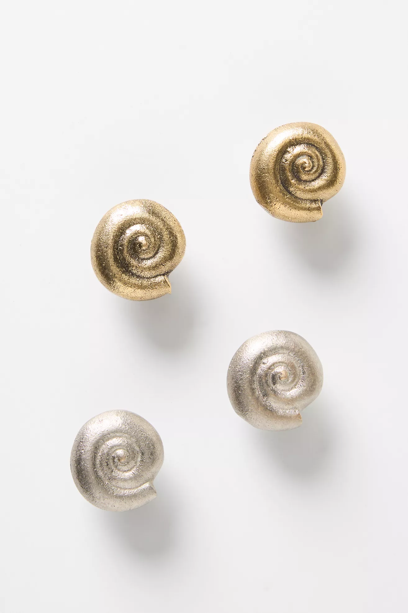 Conchita Seashell Knobs, Set of 2 - thumbnail 6