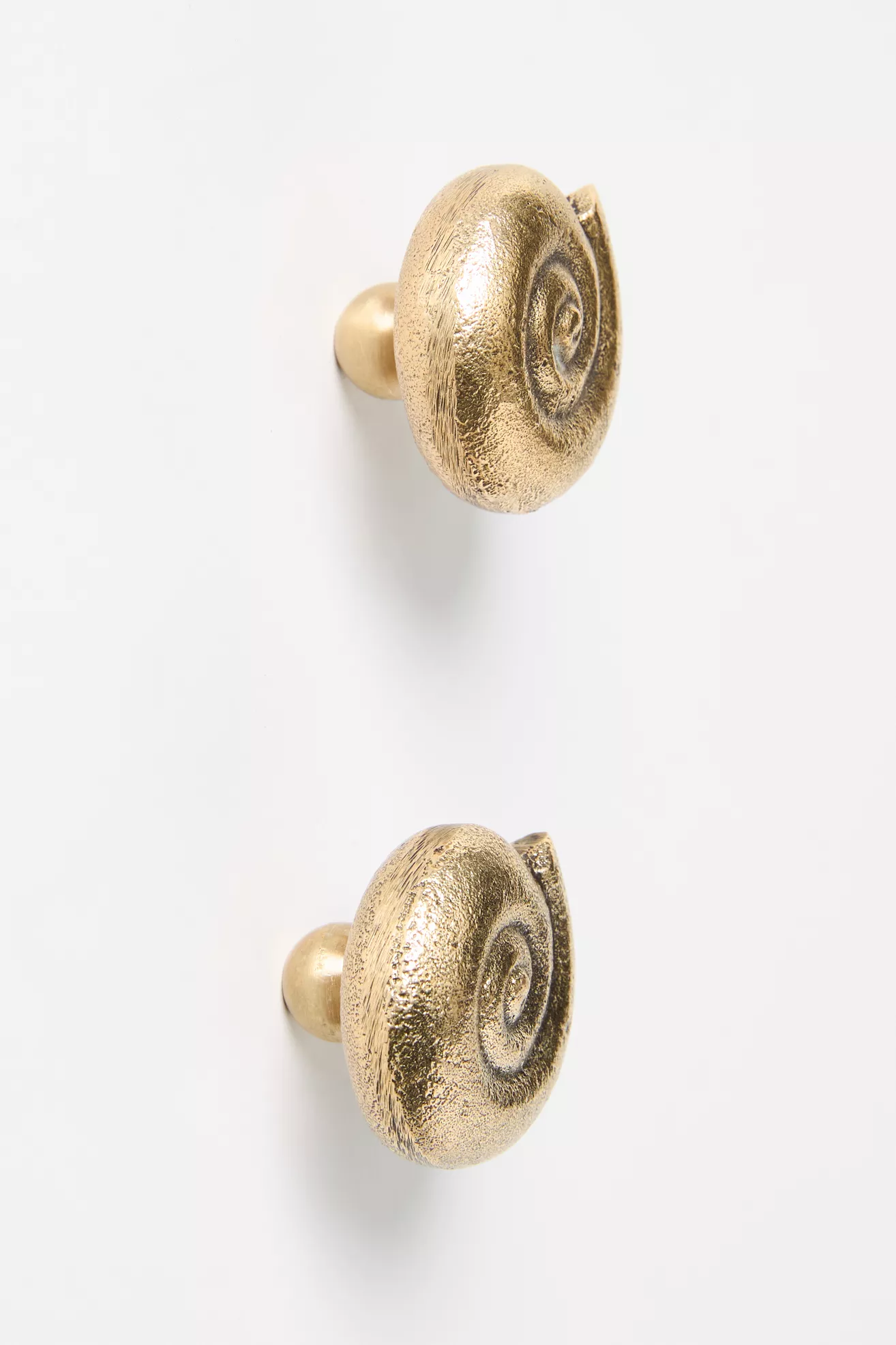 Conchita Seashell Knobs, Set of 2 - thumbnail 5