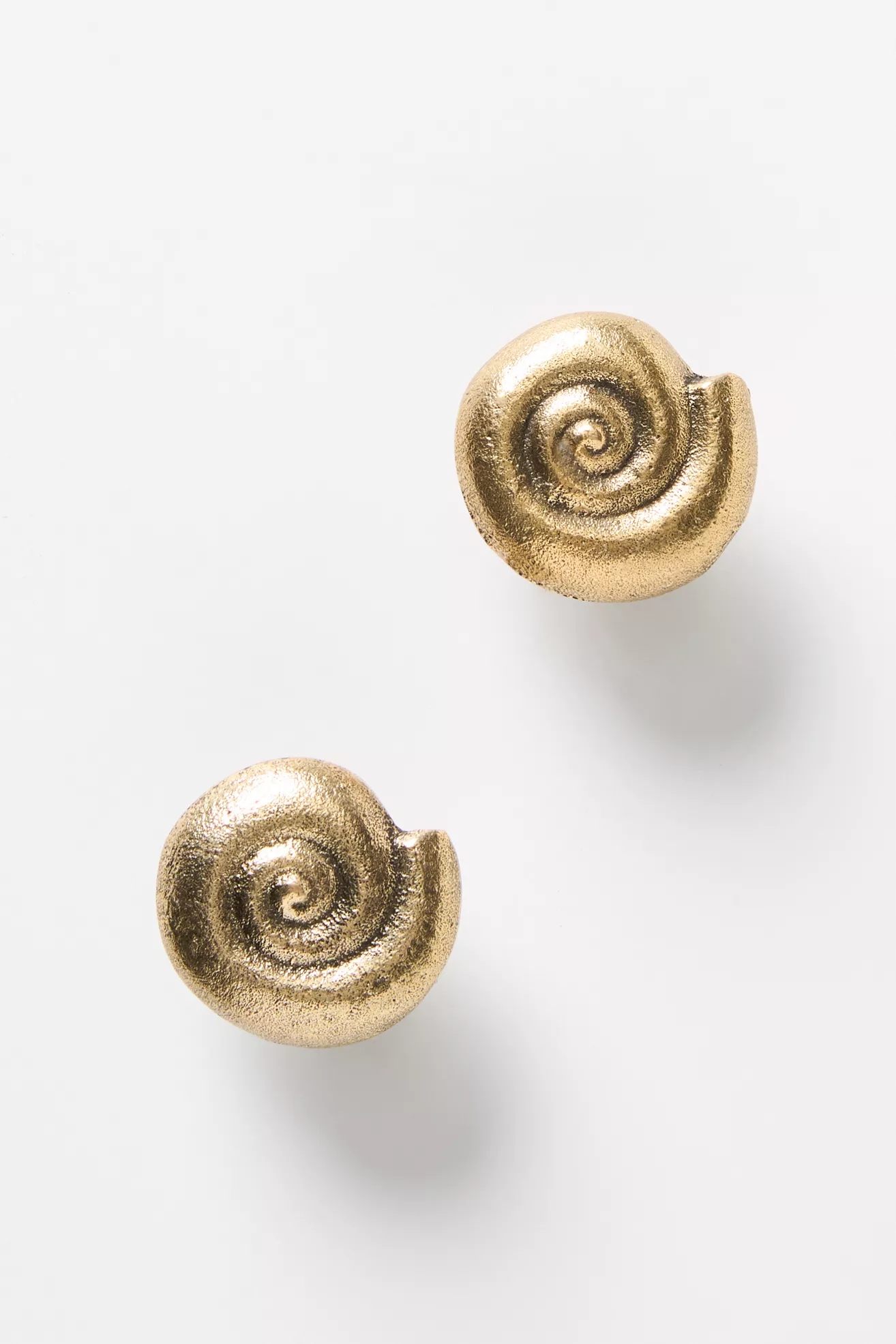 Conchita Seashell Knobs, Set of 2 - thumbnail 4