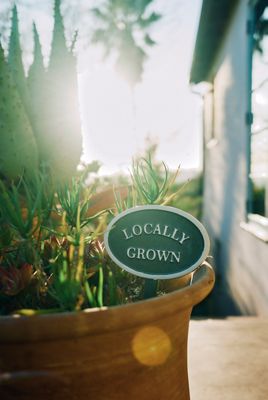 Locally Grown Staked Iron Sign