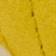Alpine Snow-Dazzling Yellow