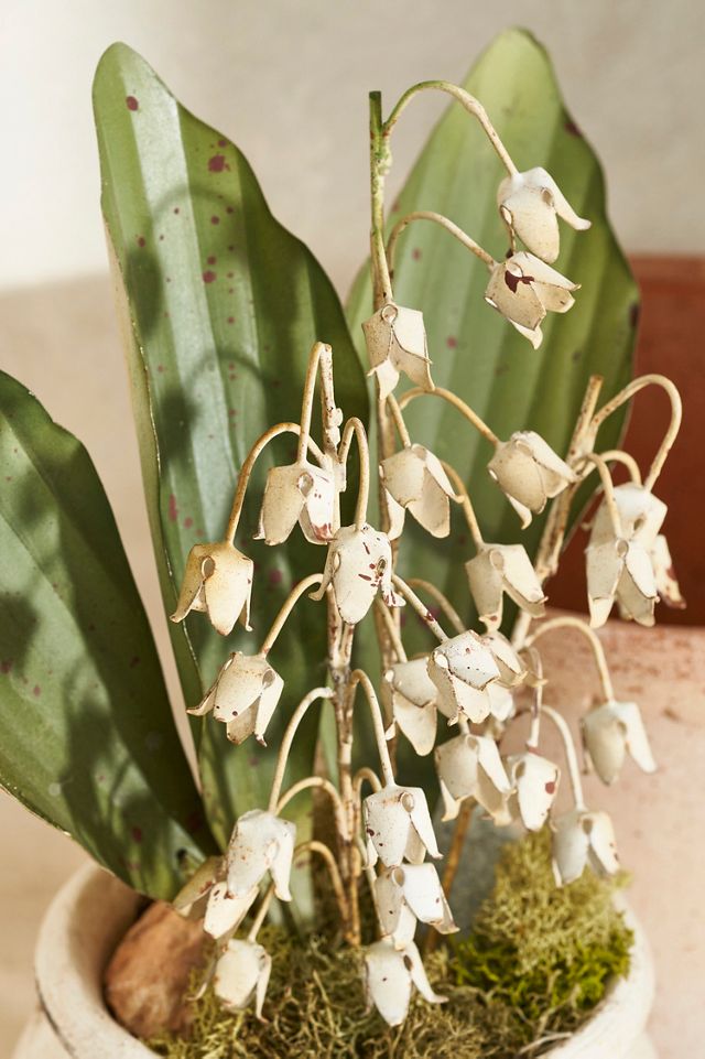 Lily of the Valley Iron Bunch #1