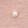 Pink Shell