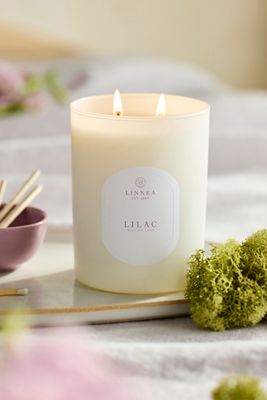 Linnea Candle, Lilac