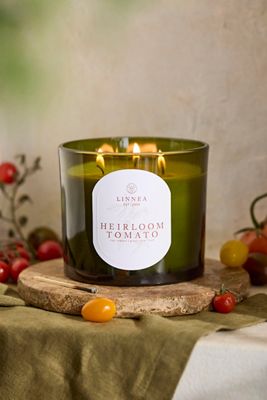 Linnea Grande Candle, Heirloom Tomato
