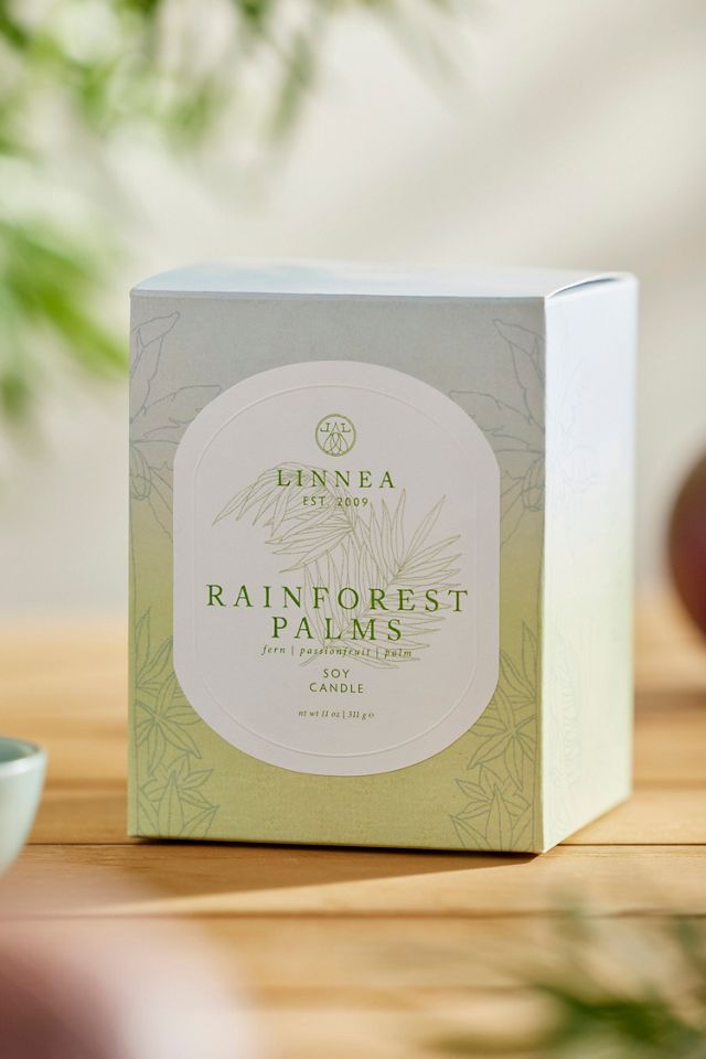 Linnea Candle, Rainforest Palms #1