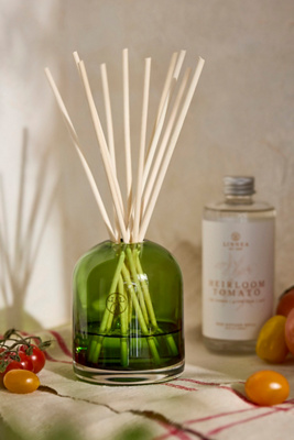 Linnea Botanik Diffuser, Heirloom Tomato | AnthroHome