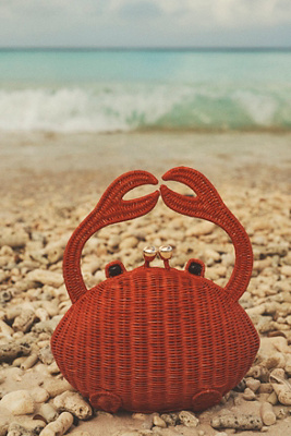 Hiptipico mid-size crab bag Hiptipico | Bags | Hiptipico Midsize Crab Bag | Poshmark main image 4