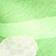 Green Pattern