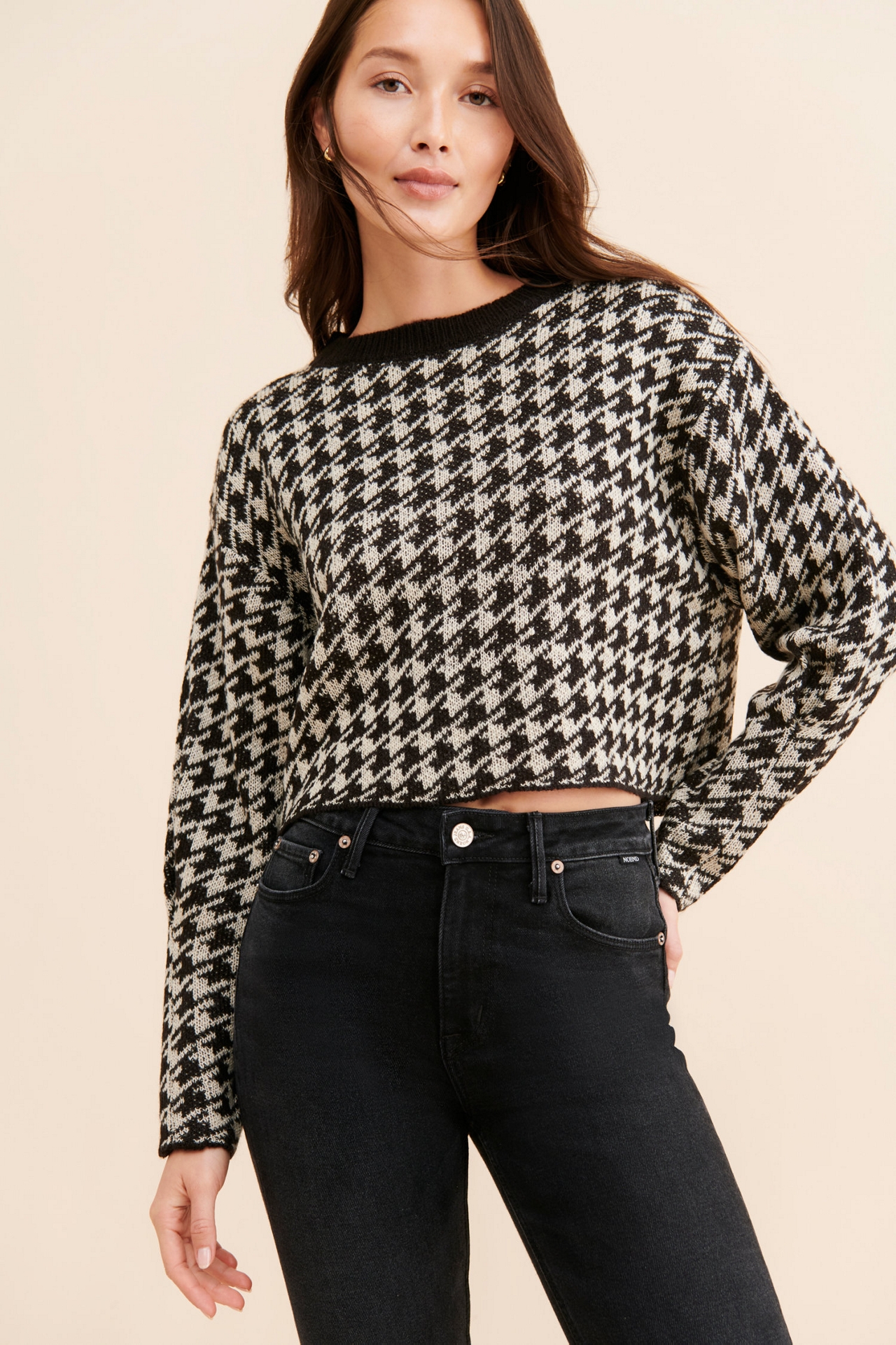 Vigoss Houndstooth Crop Sweater