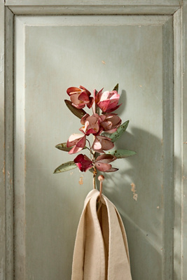 Terrain Botanical Iron Hook In Pink