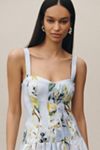 Nicholas the Label Drop Waist Corset Midi Dress | Anthropologie