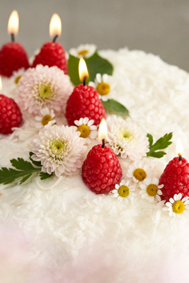 Terrain Raspberry Beeswax Candles, Set Of 10