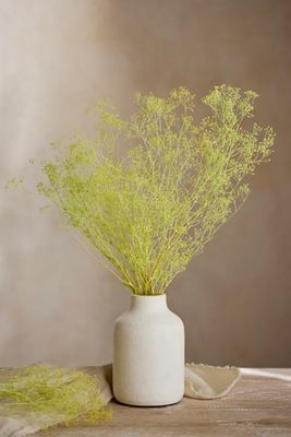 Preserved Gypsophila Bunch